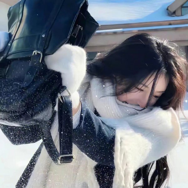 炎女 海报